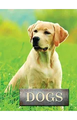 Dogs
