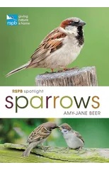 RSPB Spotlight Sparrows