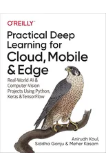 Practical Deep Learning for Cloud and Mobile