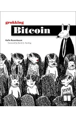 Grokking Bitcoin