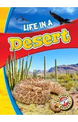 Life in a Desert