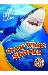 Great White Sharks