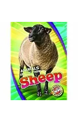 Sheep