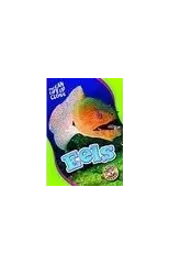 Eels