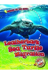 Leatherback Sea Turtle Migration
