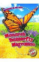 Monarch Butterfly Migration