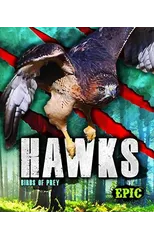 Hawks