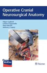 Operative Cranial Neurosurgical Anatomy