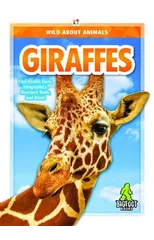 Giraffes