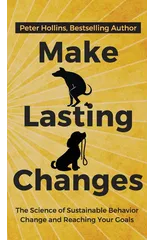 Make Lasting Changes