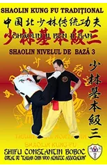 Shaolin Nivelul de Bază 3