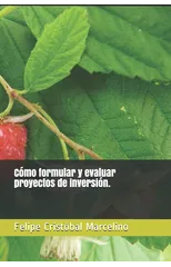 Como formular y evaluar proyectos de inversion.