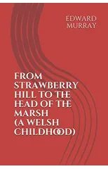 From Strawberry Hill to the Head of the Marsh