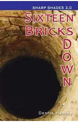 Sixteen Bricks Down  (Sharp Shades)