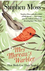 Mrs Moreau's Warbler