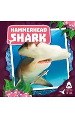 Hammerhead Shark