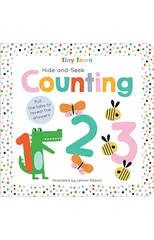 Hide-and-Seek Counting