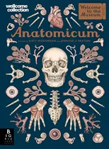 Anatomicum