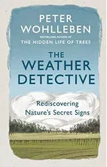 The Weather Detective