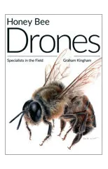 Honey Bee Drones