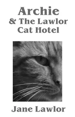 Archie & The Lawlor Cat Hotel