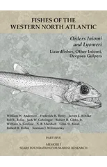 Orders Iniomi and Lyomeri