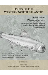 Order Iniomi (Myctophiformes)