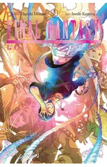 Final Fantasy Lost Stranger, Vol. 3