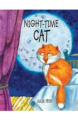 Night-time Cat