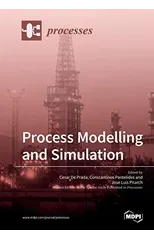 Process Modelling and Simulation