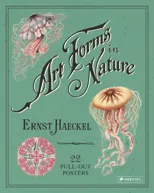 Ernst Haeckel