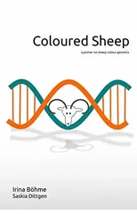 Coloured Sheep
