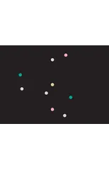 Suki Seokyeong Kang - Black Mat Oriole