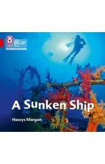 A Sunken Ship