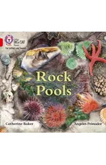 Rock Pools