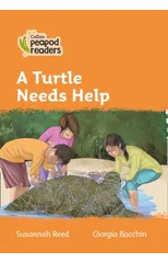 A Turtle Needs Help