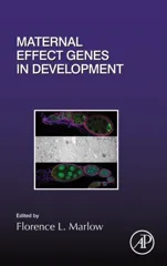 Maternal Effect Genes in Development