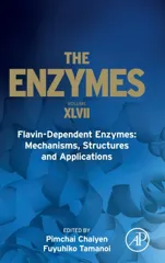 Flavin-Dependent Enzymes