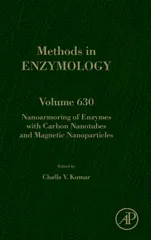 Nanoarmoring of Enzymes with Carbon Nanotubes and Magnetic Nanoparticles