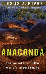 Anaconda