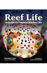 Reef Life