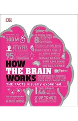 How the Brain Works