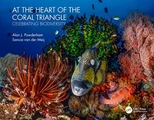 At the Heart of the Coral Triangle