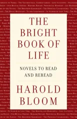 The Bright Book of Life
