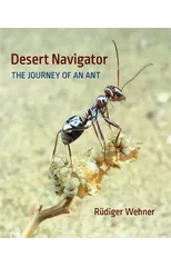 Desert Navigator