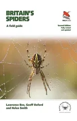 Britain's Spiders