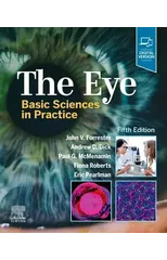 The Eye