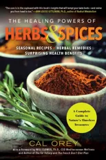 The Healing Powers of Herbs and Spices