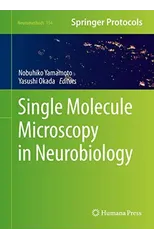 Single Molecule Microscopy in Neurobiology