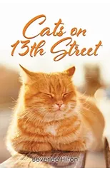 Cats on 13th Street